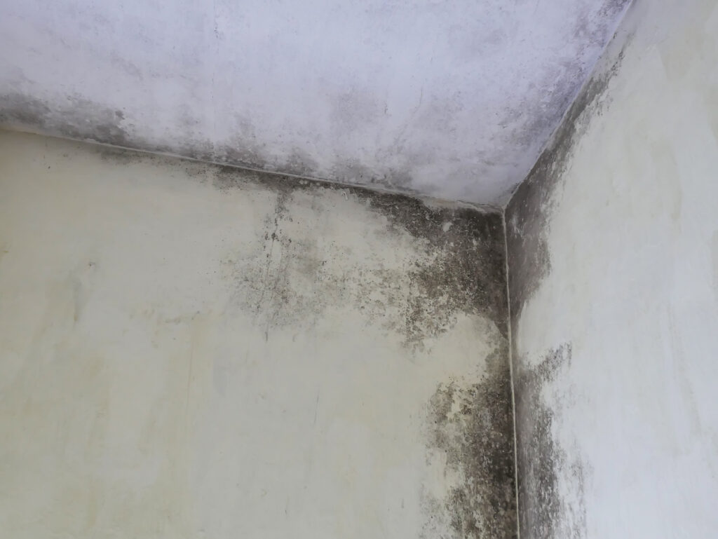 fix roof leak